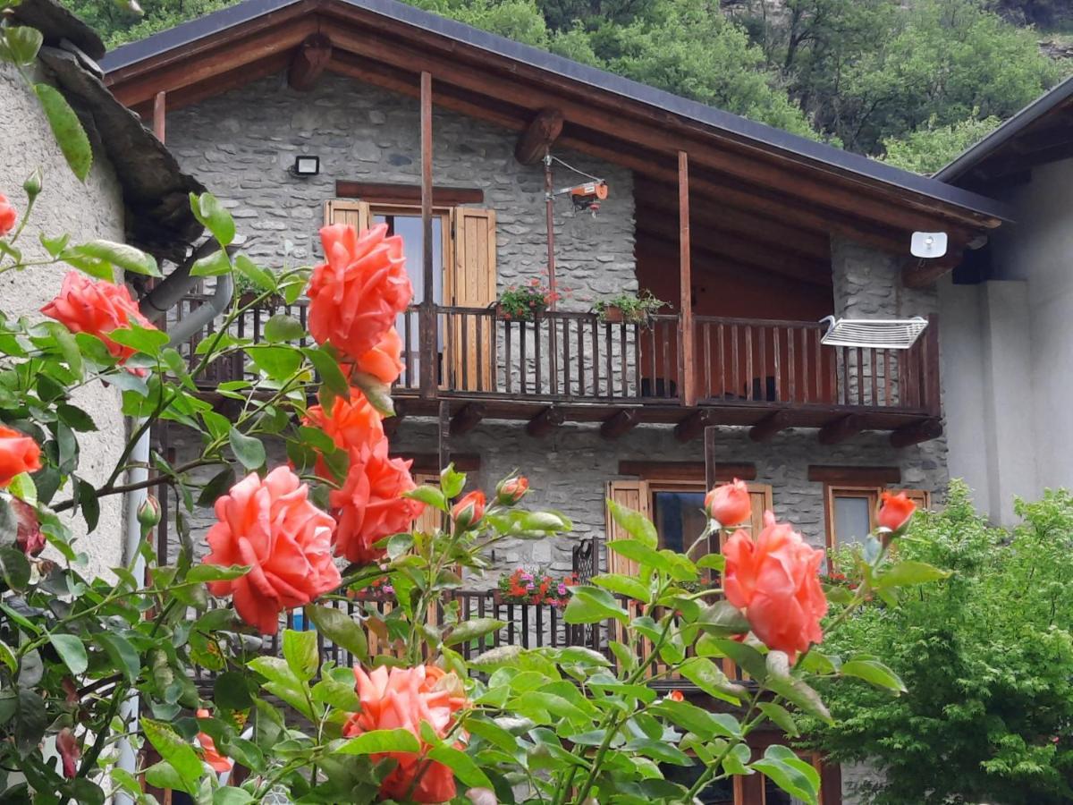 Agriturismo Al Pra Di Muriet 수사 외부 사진