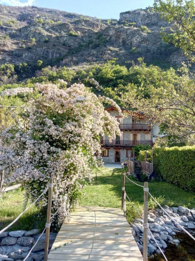 Agriturismo Al Pra Di Muriet 수사 외부 사진