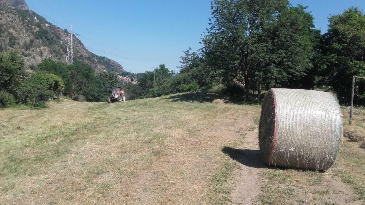 Agriturismo Al Pra Di Muriet 수사 외부 사진