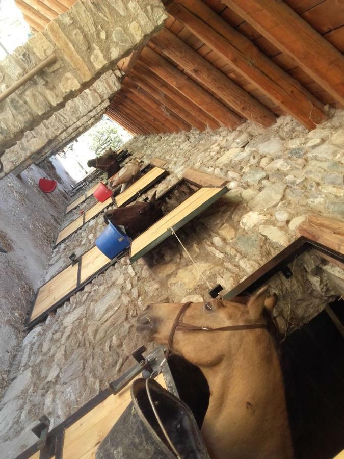 Agriturismo Al Pra Di Muriet 수사 외부 사진